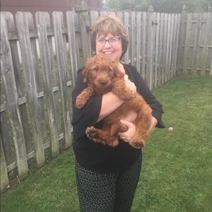 Meet your Posher, Josephine